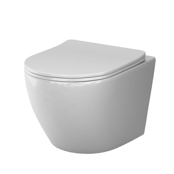 Подвесной унитаз Am.Pm Like AquaSpin 2.0 C801901SC, безободковый, крышка микролифт, смыв торнадо, белый